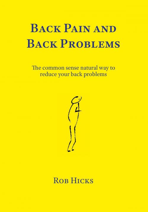 Cover of the book Back Pain and Back Problems by Rob Hicks, Rob Hicks