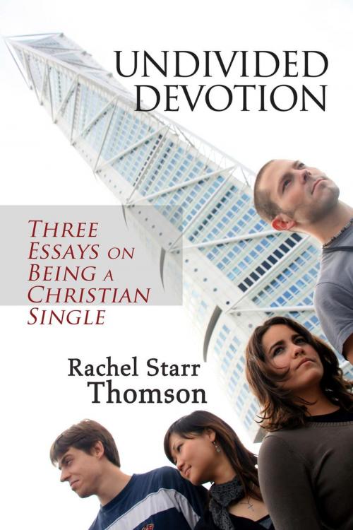 Cover of the book Undivided Devotion by Rachel Starr Thomson, Little Dozen Press