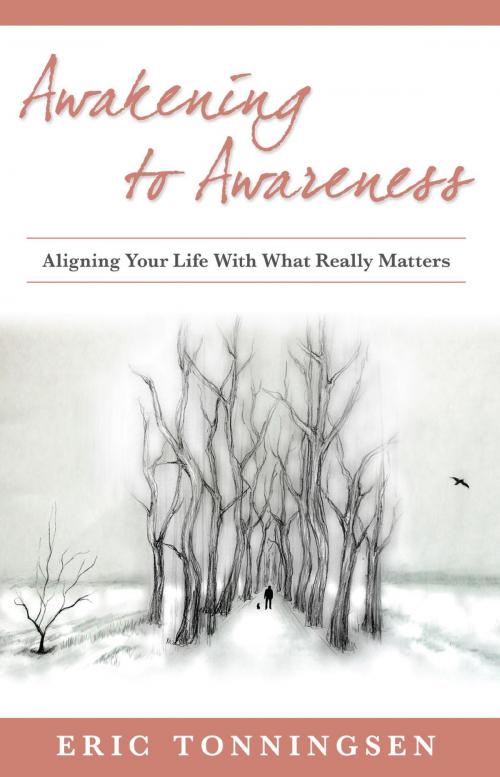 Cover of the book Awakening to Awareness by Eric Tonningsen, Strauss Consultants