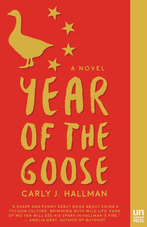 Cover of the book Year of the Goose by Carly J. Hallman, The Unnamed Press