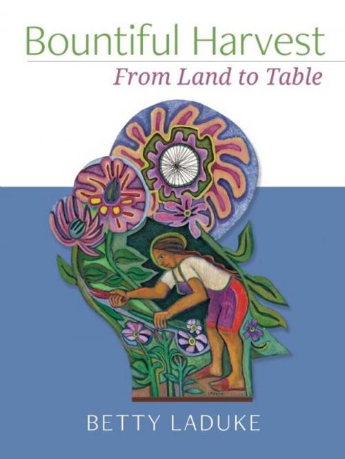 Cover of the book Bountiful Harvest by Betty LaDuke, White Cloud Press