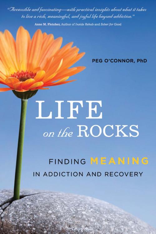 Cover of the book Life on the Rocks by Peg O'Connor, Central Recovery Press, LLC