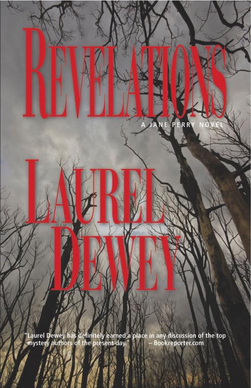 Cover of the book Revelations by Laurel Dewey, Fiction Studio Books