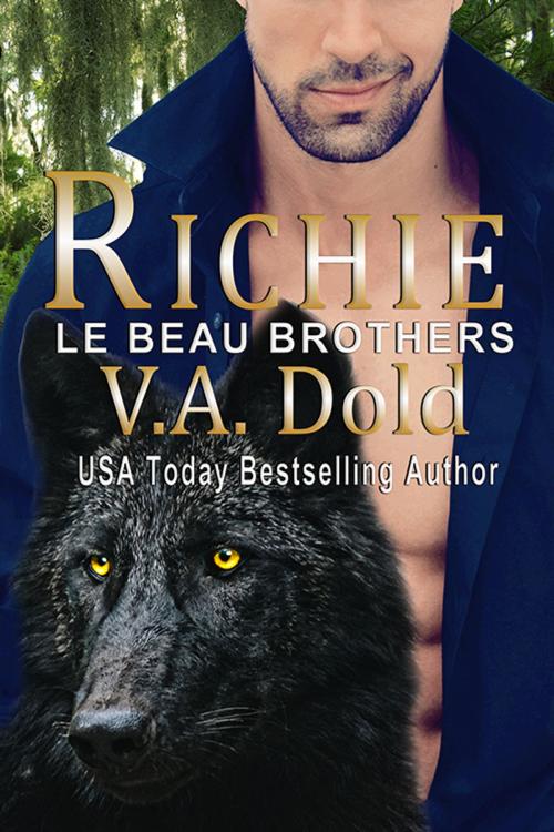 Cover of the book RICHIE by V.A. Dold, Vadold