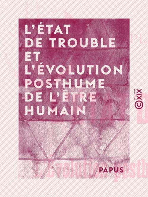 Cover of the book L'État de trouble et l'évolution posthume de l'être humain by Papus, Collection XIX