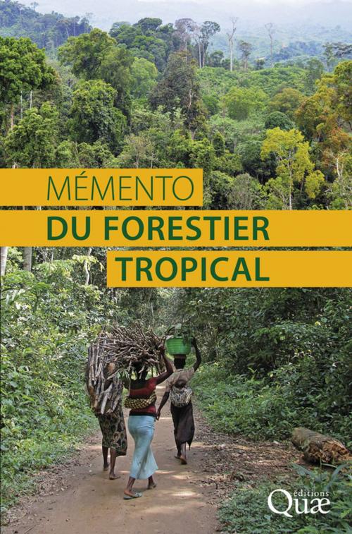 Cover of the book Mémento du forestier tropical by Gilles Mille, Dominique Louppe, Quae