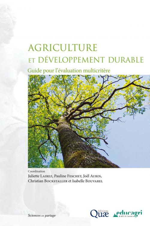 Cover of the book Agriculture et développement durable by Isabelle Bouvarel, Joël Aubin, Juliette Lairez, Pauline Feschet, Christian Bockstaller, Quae