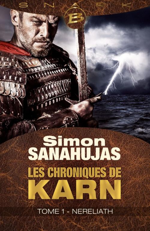 Cover of the book Nereliath by Simon Sanahujas, Bragelonne