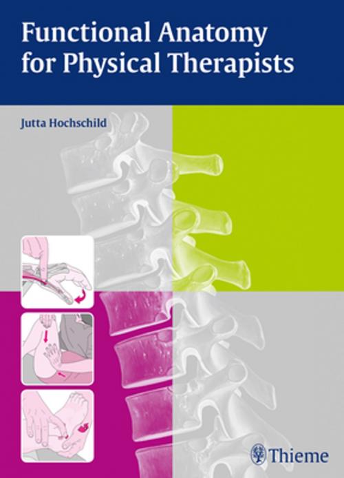 Cover of the book Functional Anatomy for Physical Therapists by Jutta Hochschild, Thieme