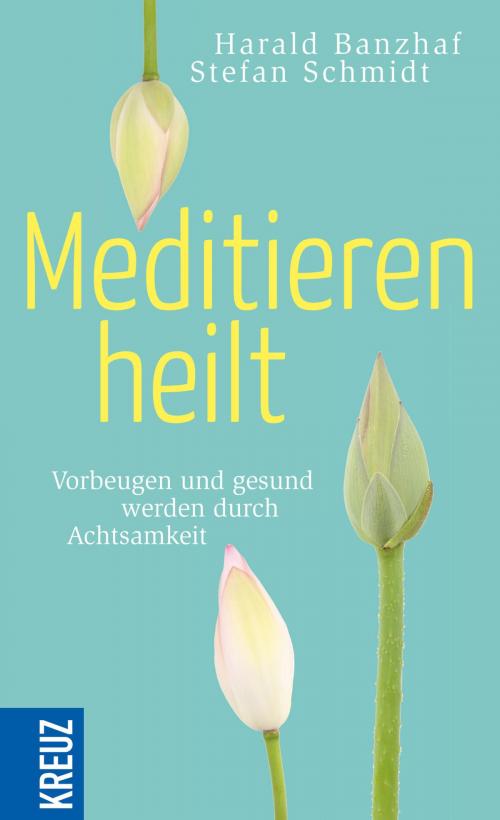 Cover of the book Meditieren heilt by Harald Banzhaf, Stefan Schmidt, Kreuz Verlag