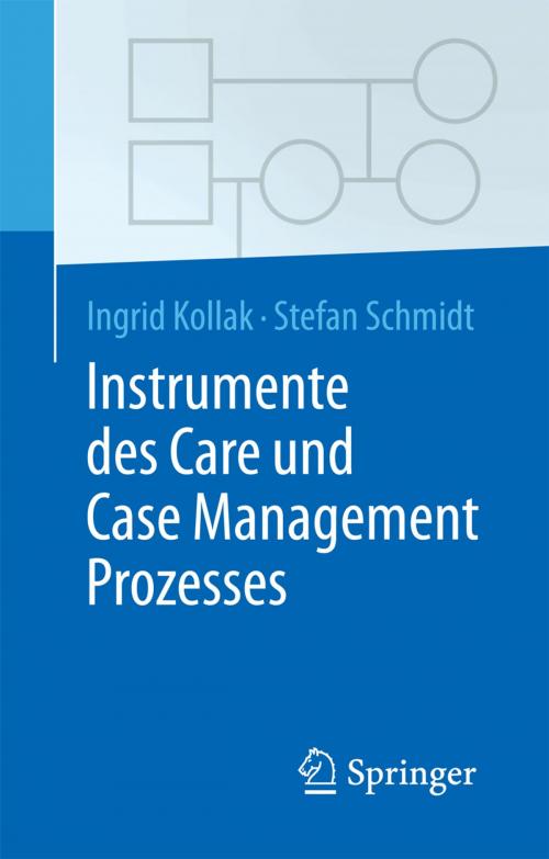 Cover of the book Instrumente des Care und Case Management Prozesses by Ingrid Kollak, Stefan Schmidt, Springer Berlin Heidelberg