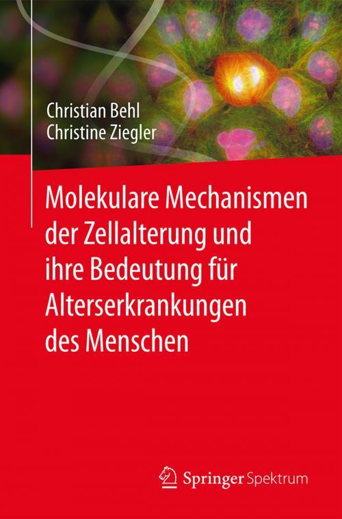 Cover of the book Molekulare Mechanismen der Zellalterung und ihre Bedeutung für Alterserkrankungen des Menschen by Christian Behl, Christine Ziegler, Springer Berlin Heidelberg