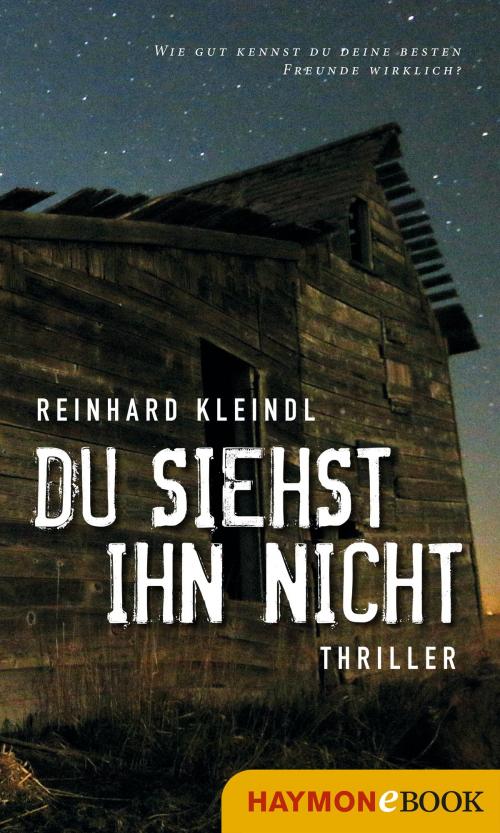 Cover of the book Du siehst ihn nicht by Reinhard Kleindl, Haymon Verlag