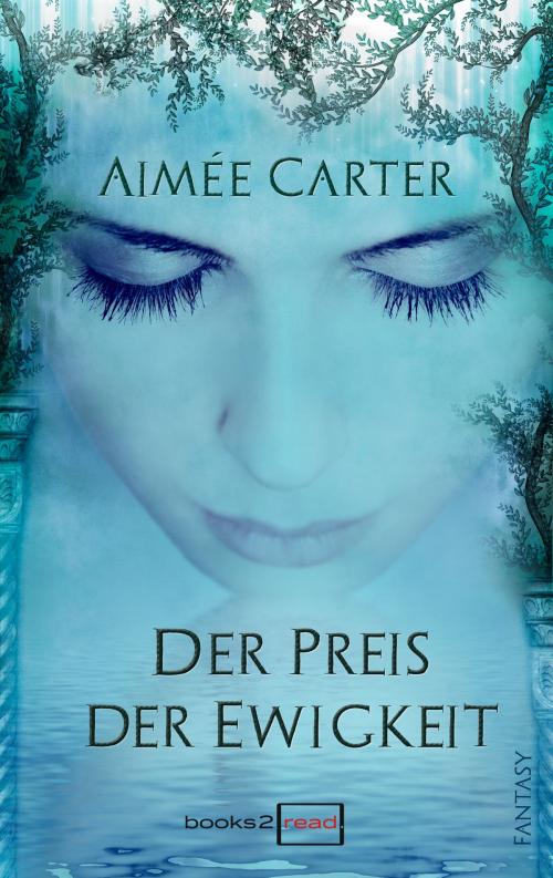 Cover of the book Der Preis der Ewigkeit by Aimée Carter, books2read