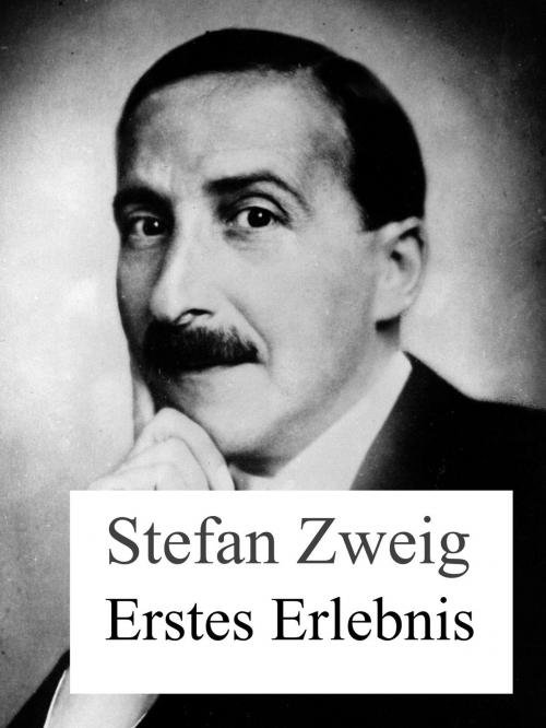 Cover of the book Erstes Erlebnis by Stefan Zweig, Books on Demand