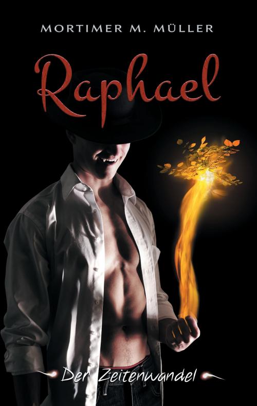 Cover of the book Raphael by Mortimer M. Müller, Books on Demand