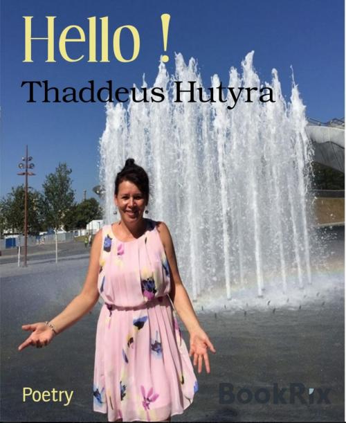 Cover of the book Hello ! by Thaddeus Hutyra, BookRix