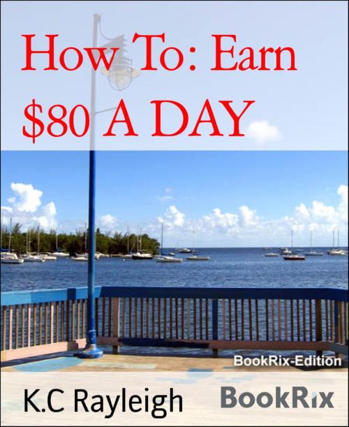 Cover of the book How To: Earn $80 A DAY by K.C Rayleigh, BookRix