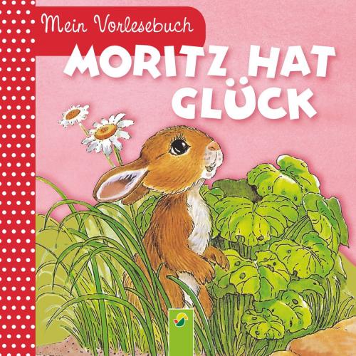 Cover of the book Moritz hat Glück by Ingrid Pabst, Schwager & Steinlein Verlag