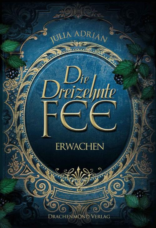 Cover of the book Die Dreizehnte Fee by Julia Adrian, Drachenmond Verlag