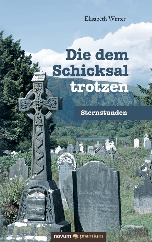Cover of the book Die dem Schicksal trotzen by Elisabeth Winter, novum premium Verlag
