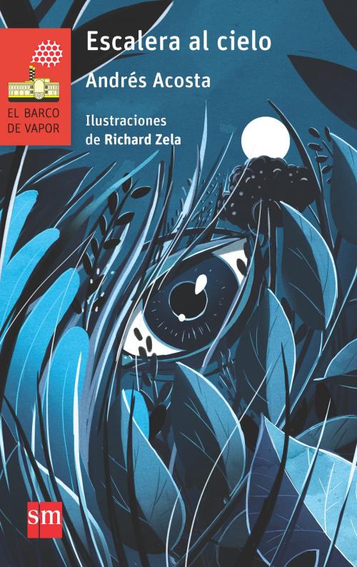 Cover of the book Escalera al cielo by Andrés Acosta, Ediciones SM
