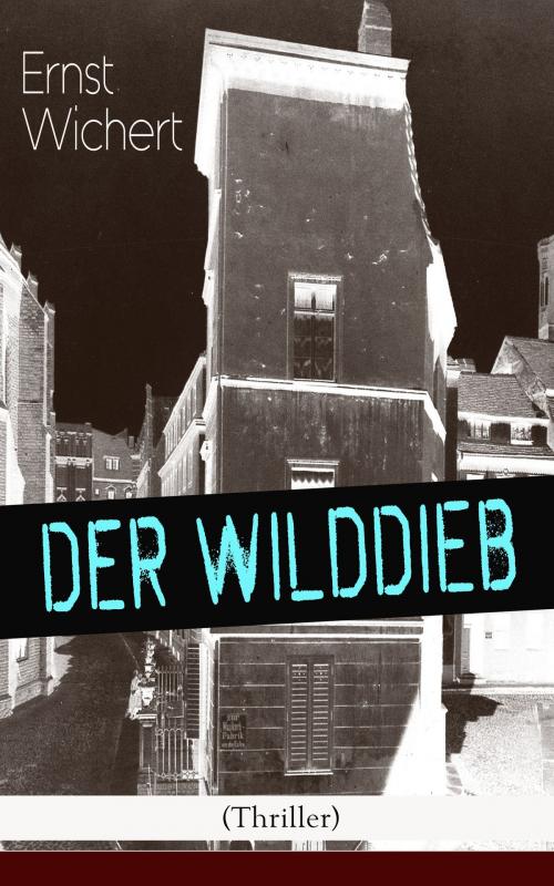 Cover of the book Der Wilddieb (Thriller) by Ernst Wichert, e-artnow