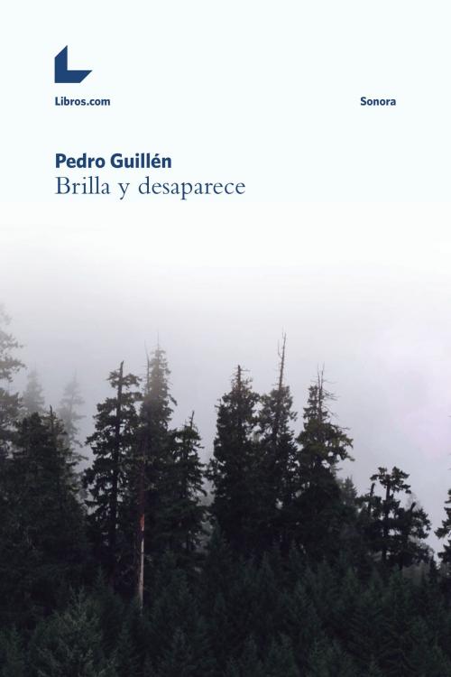 Cover of the book Brilla y desaparece by Pedro Guillén, Editorial Libros.com