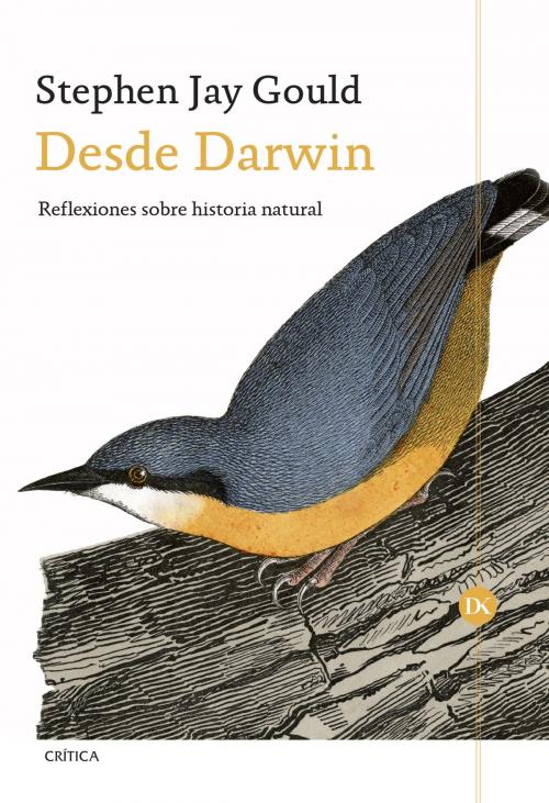 Cover of the book Desde Darwin by Stephen Jay Gould, Grupo Planeta