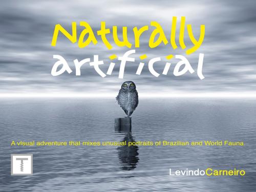 Cover of the book Naturally Artificial by Levindo Carneiro, TrUqUe