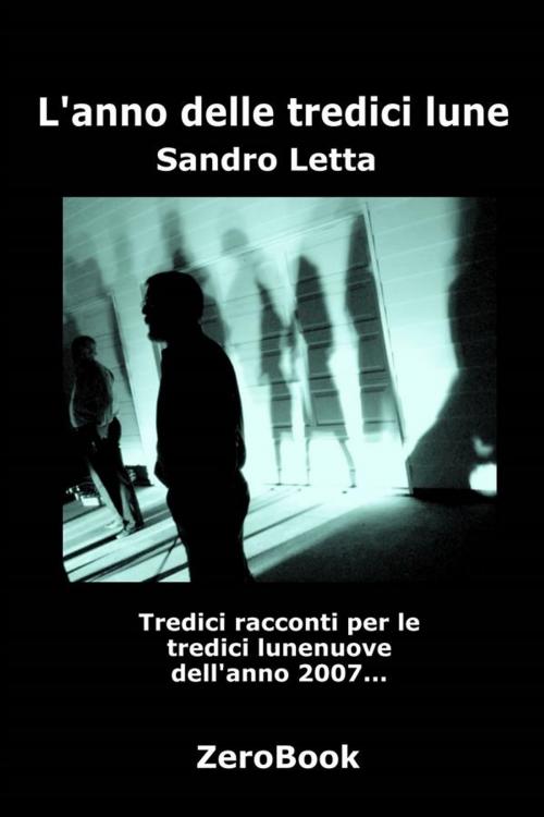 Cover of the book L'anno delle tredici lune by Sandro Letta, ZeroBook Edizioni