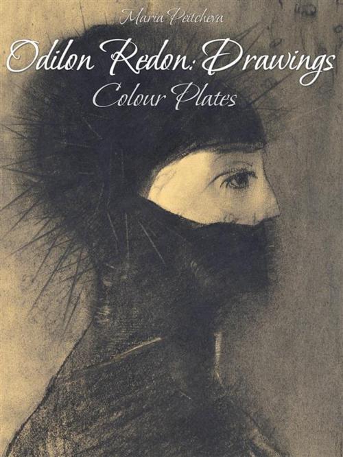 Cover of the book Odilon Redon: Drawings Colour Plates by Maria Peitcheva, Maria Peitcheva