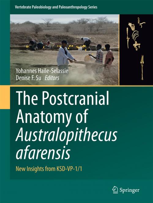 Cover of the book The Postcranial Anatomy of Australopithecus afarensis by , Springer Netherlands