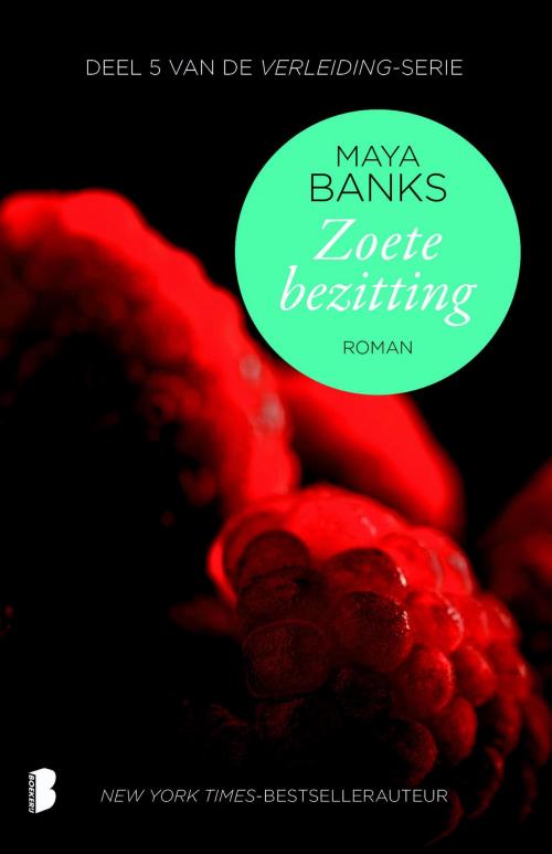 Cover of the book Zoete bezitting by Maya Banks, Meulenhoff Boekerij B.V.