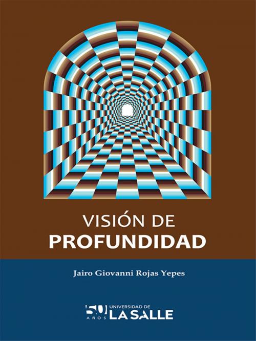 Cover of the book Visión de profundidad by Jairo Giovanni Rojas Yepes, Universidad de La Salle