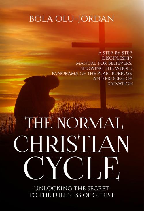Cover of the book The Normal Christian Cycle: Unlocking the Secret to the Fullness of Christ by Bola Olu Jordan, CRYOUT Publishing