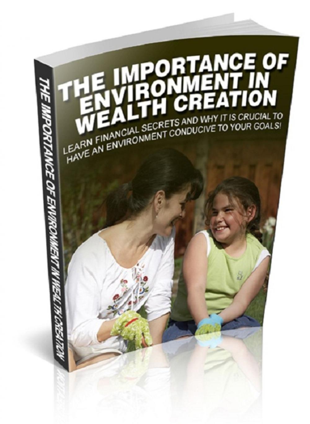 Big bigCover of The Importance Of Environment In Wealth Creation