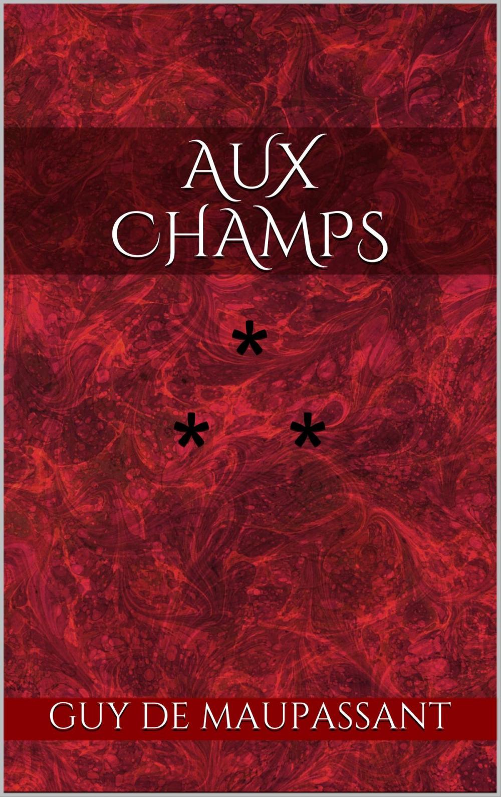 Big bigCover of Aux Champs