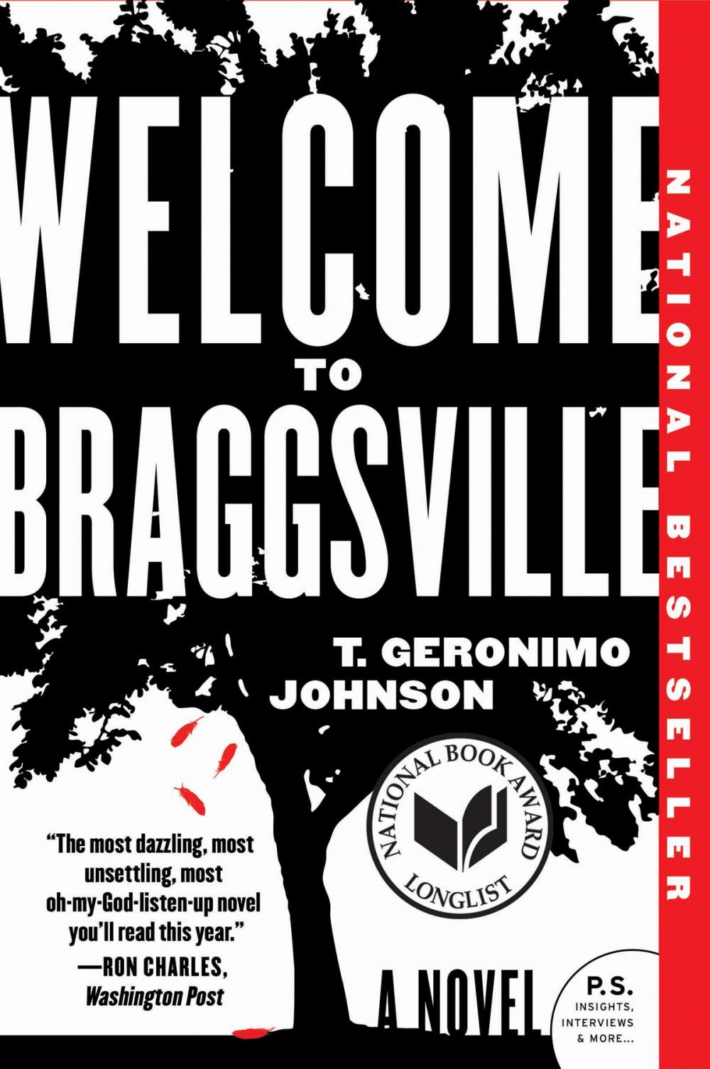 Big bigCover of Welcome to Braggsville