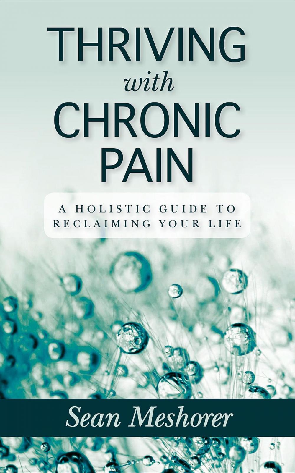 Big bigCover of Thriving with Chronic Pain: A Holistic Guide to Reclaiming Your Life