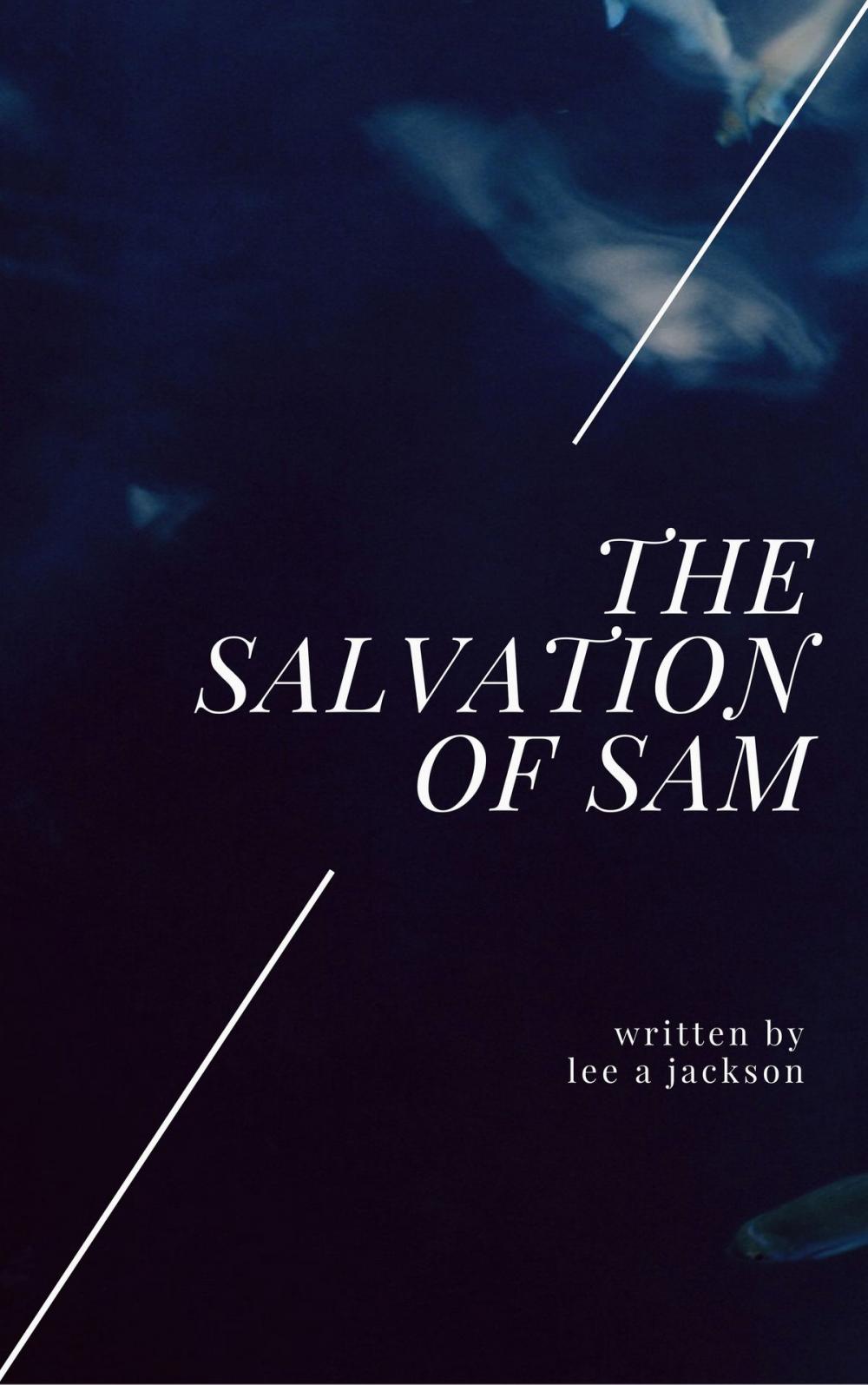 Big bigCover of Salvation of Sam