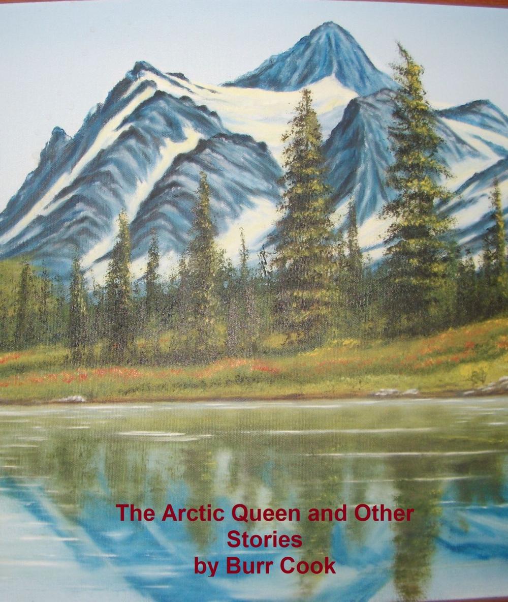 Big bigCover of The Arctic Queen and Other Stories