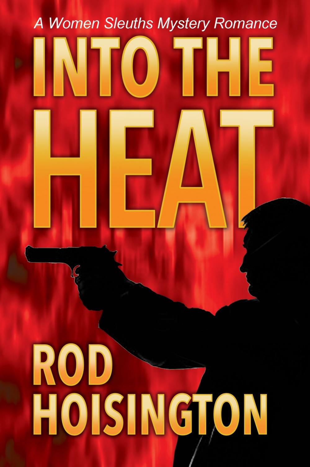 Big bigCover of Into the Heat A Women Sleuth Mystery Romance (Sandy Reid Mystery Series #6)