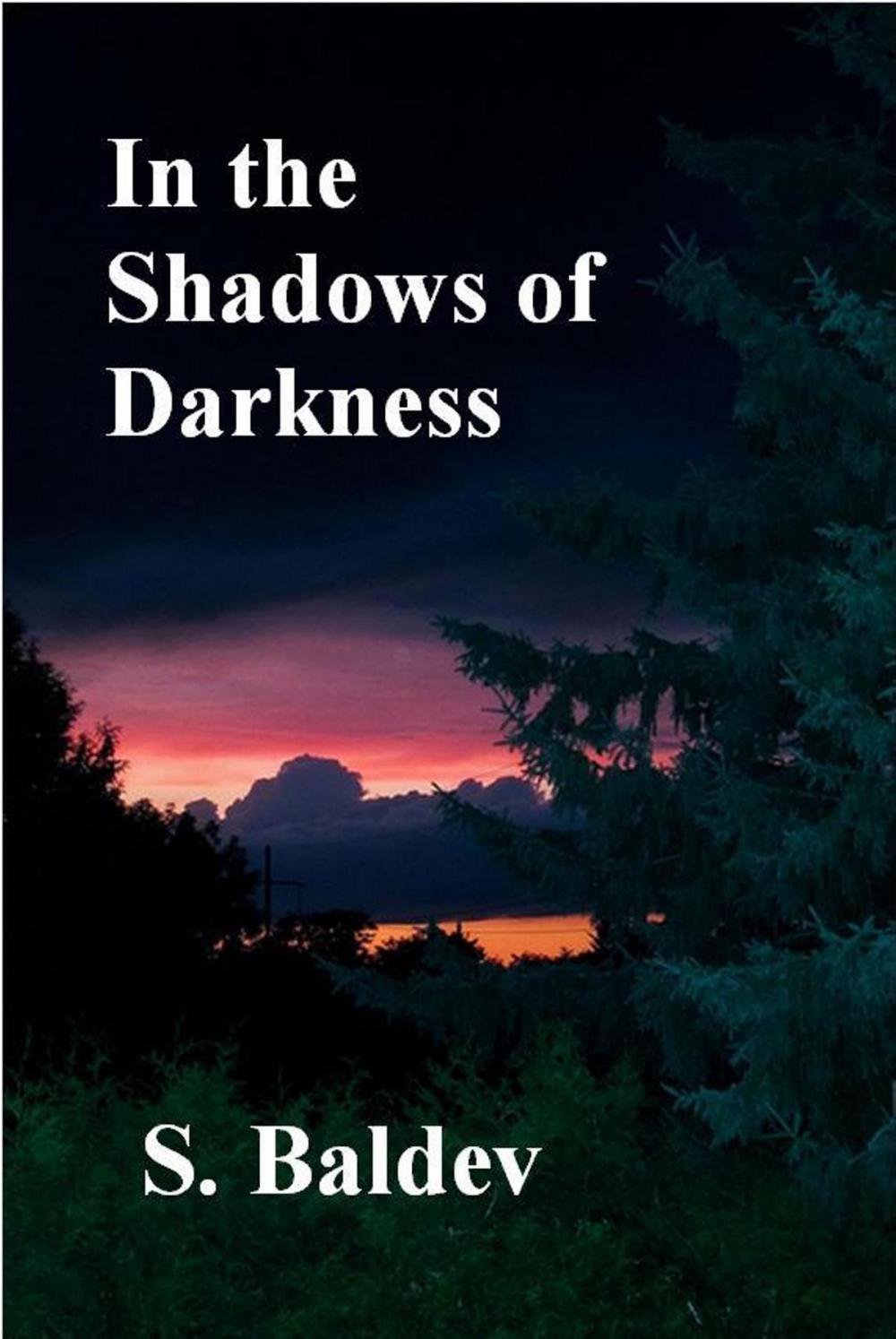 Big bigCover of In the Shadows of Darkness