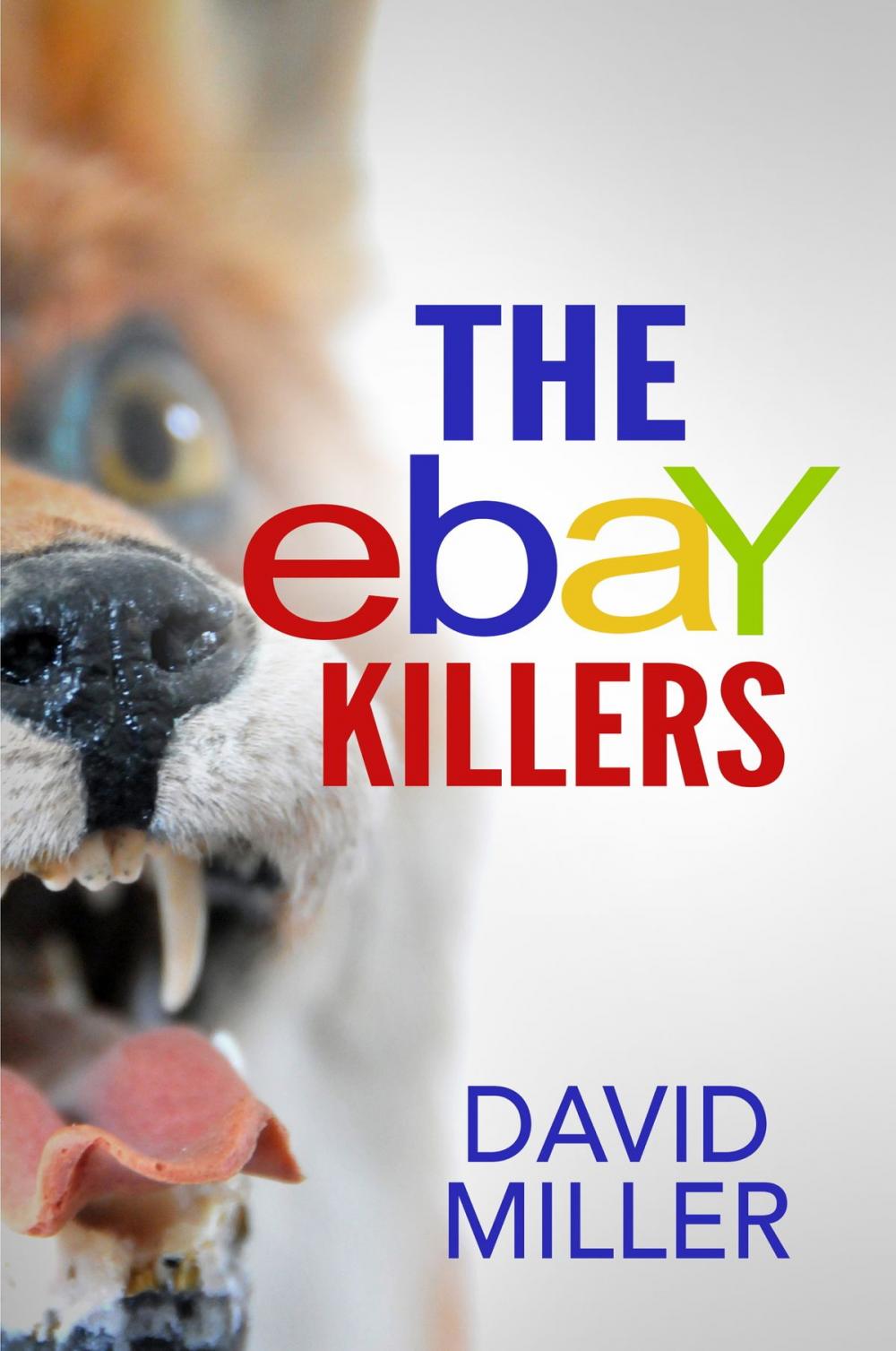 Big bigCover of The eBay Killers