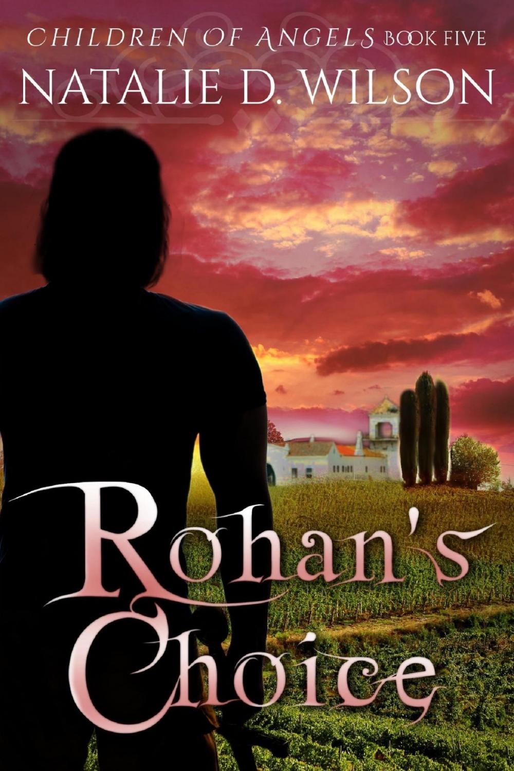 Big bigCover of Rohan's Choice