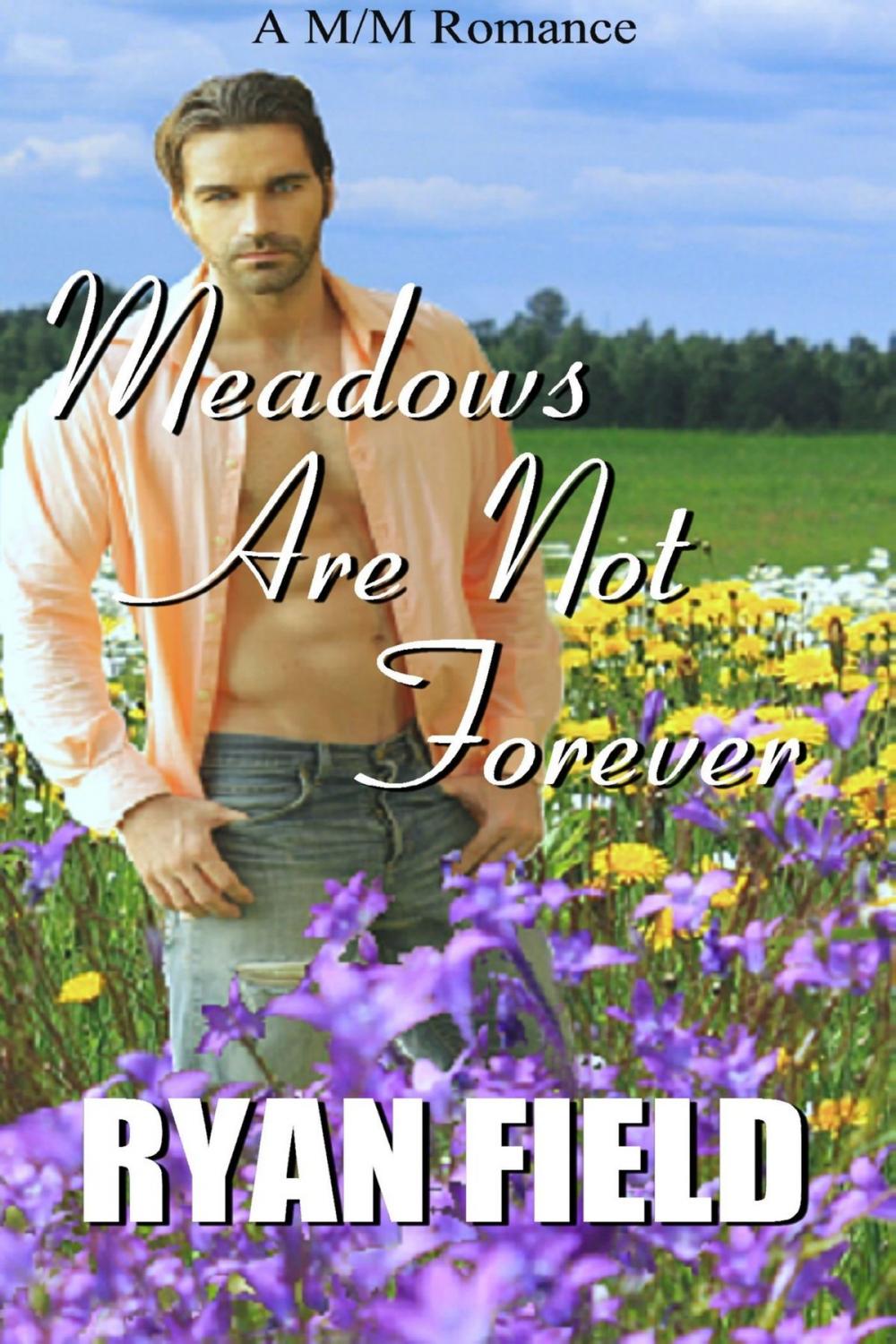 Big bigCover of Meadows Are Not Forever