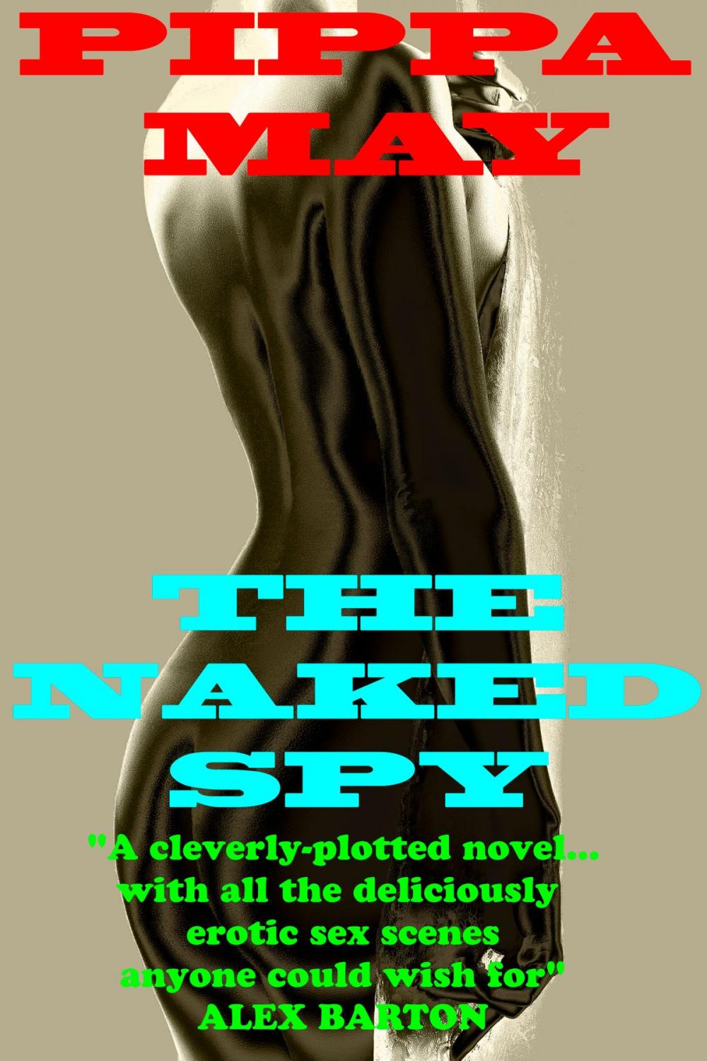 Big bigCover of The Naked Spy (Erotic WW2 Thriller)