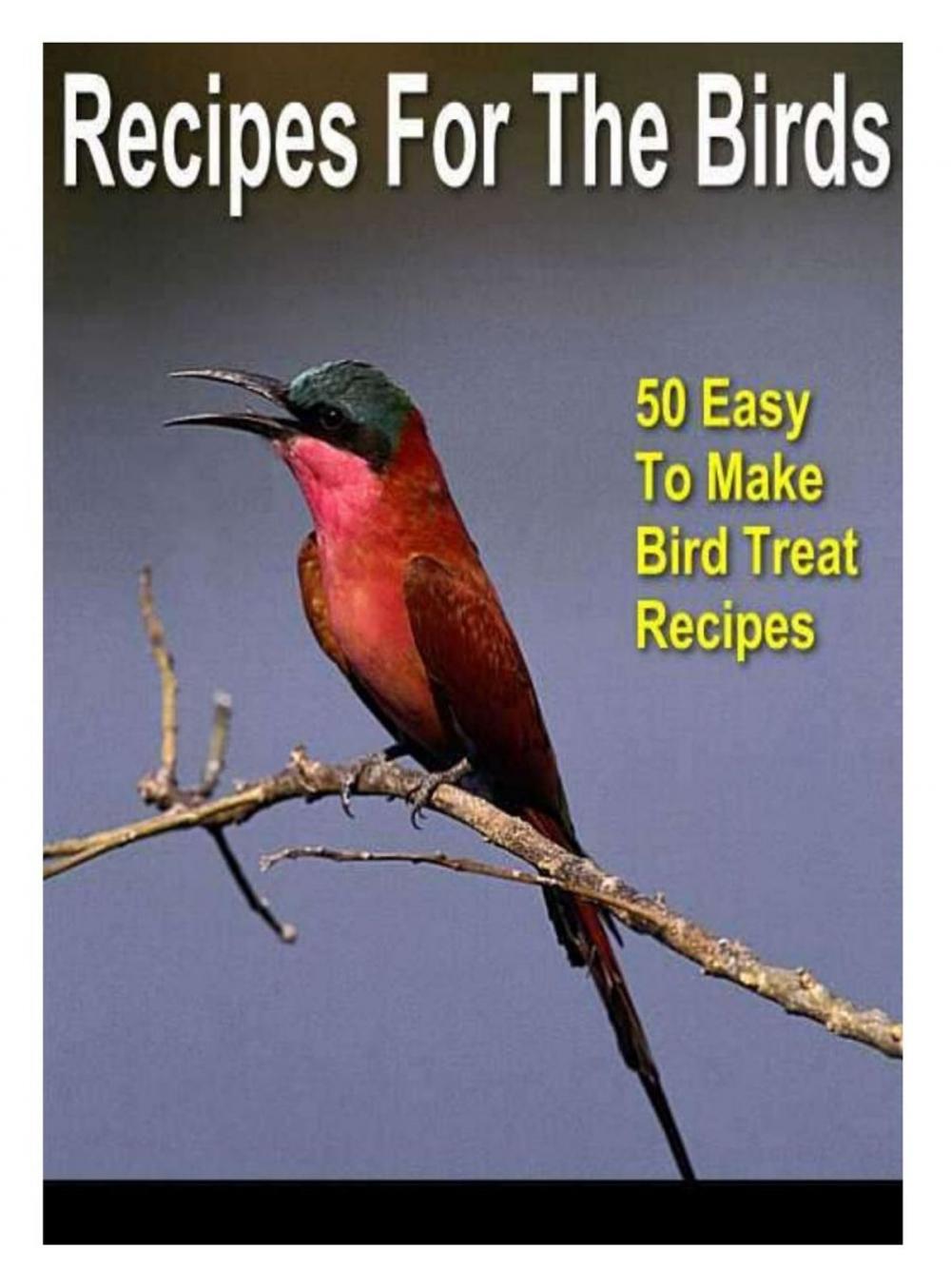 Big bigCover of Recipes For the Birds