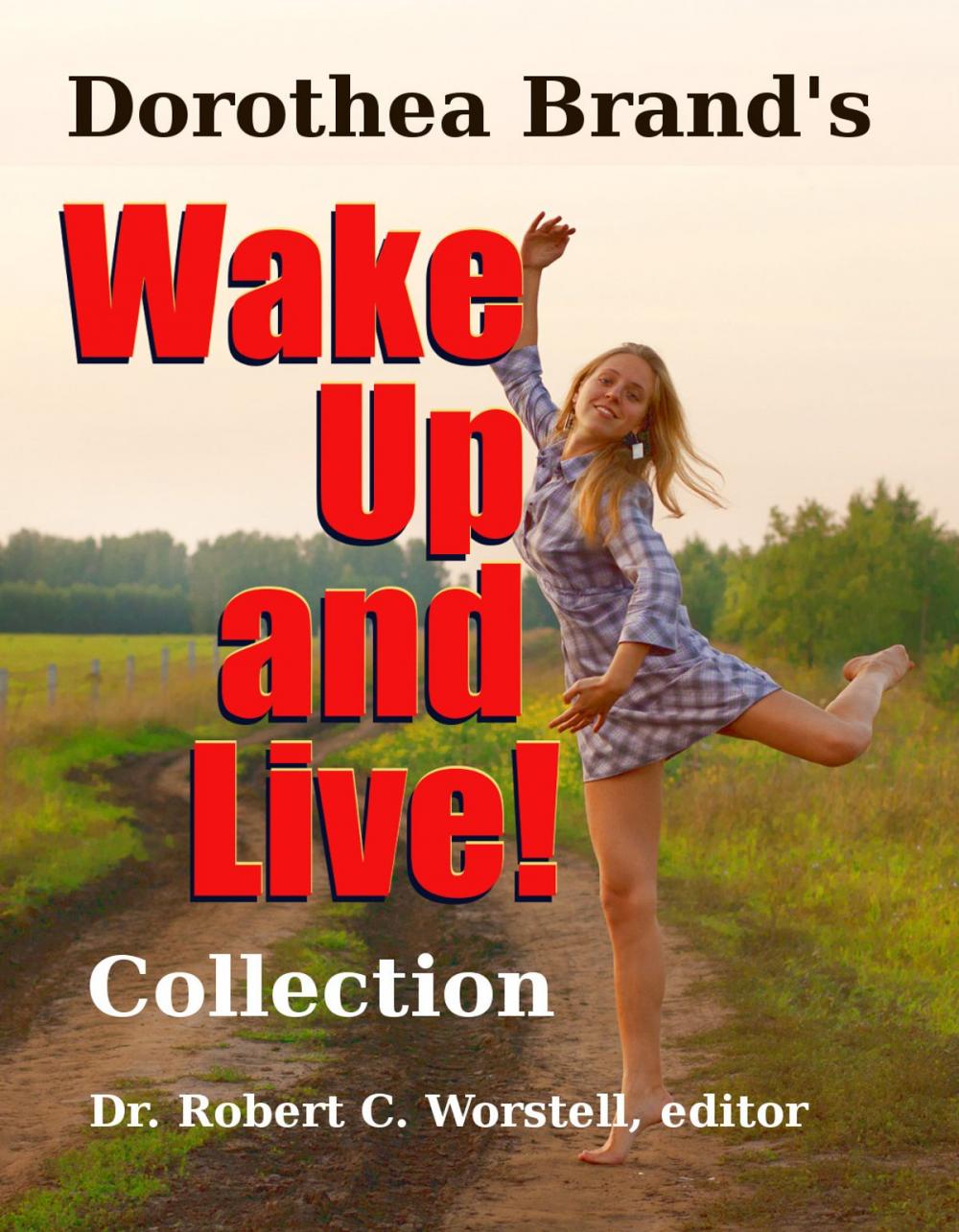 Big bigCover of Dorothea Brande's Wake Up and Live! Collection